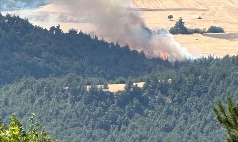 Bilecik'te Orman Yangınına Müdahale Başlatıldı
