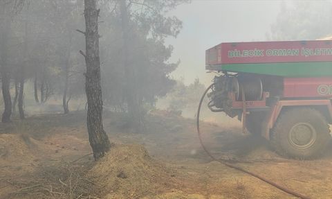 Bilecik'te Yangın: Buğday Tarlasından Ormana Sıçradı