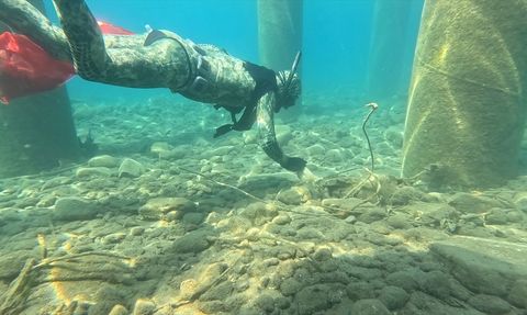 Bodrum'da Deniz Temizliği: 241 Kilogram Atık Toplandı