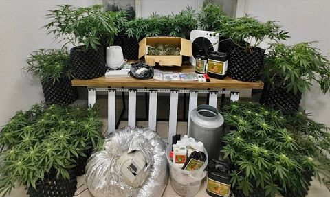 Bodrum'da Uyuşturucu Üretimi: İki Zanlıdan Biri Tutuklandı