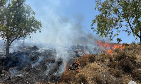 Bodrum'da Yangın Söndürme Çalışmaları Devam Ediyor