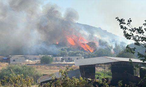 Bodrum'daki Makilik Alanda Yangın: Havadan ve Karadan Müdahale