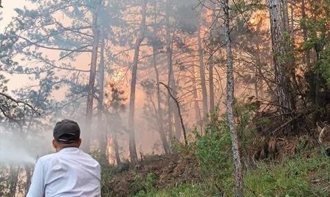 Bolu'daki Orman Yangınına Müdahale Devam Ediyor