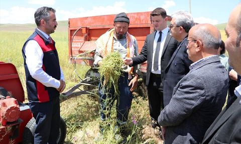 Burdur'da Kuraklığa Dayanıklı Yem Bitkisi Hasadı Yapıldı