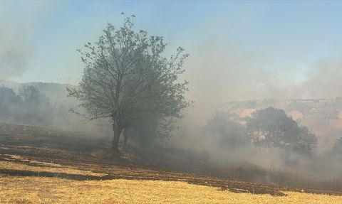 Bursa'da İki Ayrı Orman Yangınına Müdahale Başlatıldı