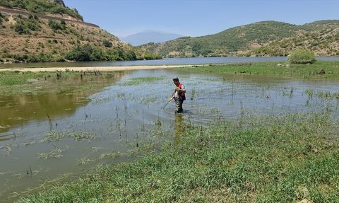 Bursa'da Kayıp İhbarı: Arama Çalışmaları Hızla Devam Ediyor