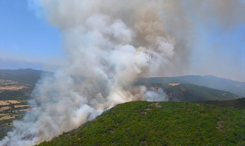Bursa'da Orman Yangınına Müdahale Başladı