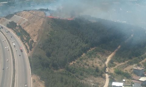 Bursa'da Tarım Arazisinde Başlayan Yangın Kontrol Altına Alındı