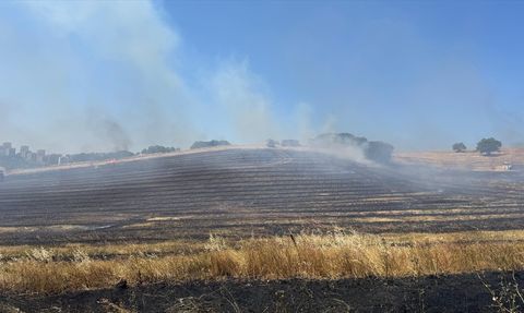 Bursa'da Yerleşim Alanında Anız Yangını Kontrol Altına Alındı