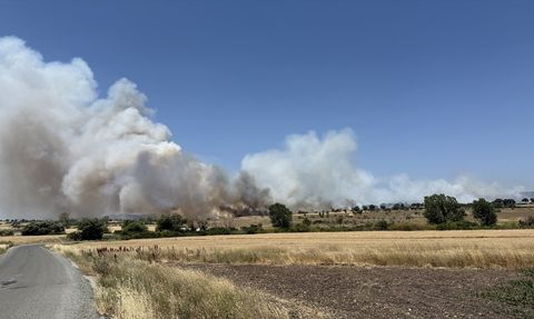 Çanakkale'de Tarım Arazisinde Yangın Kontrol Altına Alındı
