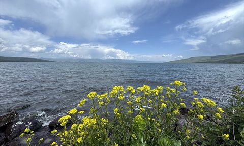 Çıldır Gölü Bahar ile Canlandı