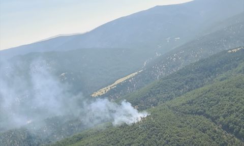 Denizli'de Orman Yangını: Havadan ve Karadan Müdahale Başladı