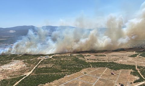 Didim'de Yangın Kontrol Altına Alındı