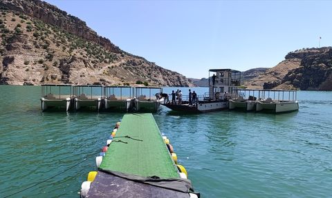 Diyarbakır Büyükşehir Belediyesi Dicle Baraj Gölü'nde Motorlu Araç Faaliyetlerini Durdurdu