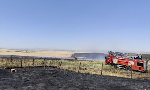 Diyarbakır'da Tarım Arazisinde Yangın