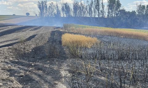 Edirne'de Buğday Tarlasında Yangın Kontrol Altına Alındı