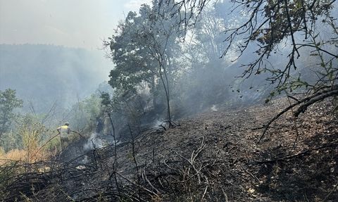 Edirne'de Orman Yangını: Havadan ve Karadan Mücadele