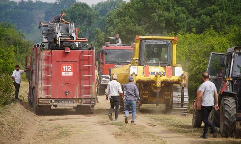 Edirne'de Orman Yangını Kontrol Altına Alındı