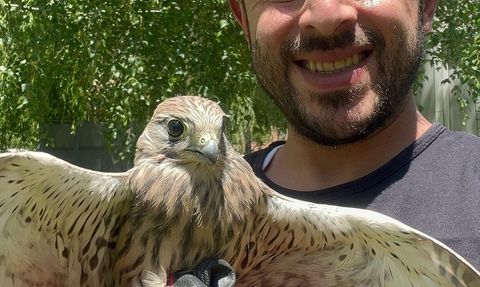 Erzurum'da Kerkenez Doğaya Salındı