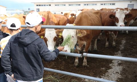 Erzurum'da Koruma Altındaki Çocuklar Süt Ürünlerinin Yapımını Öğrendi