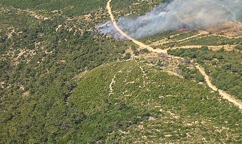 Foça'da Orman Yangını: Hızla Müdahale Ediliyor