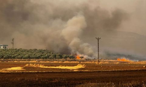 Gaziantep'te 500 Dönümlük Buğday Tarlasındaki Yangın