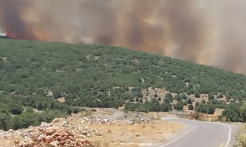 Gaziantep'te Orman Yangınına Müdahale Devam Ediyor