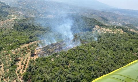 Aydın'ın Germencik İlçesinde Orman Yangını Kontrol Altına Alındı