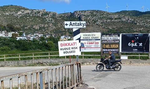 Hatay'da Kuduz Karantinası: Sahipsiz Köpekler Toplanıyor