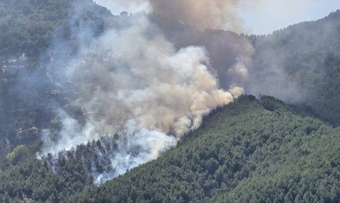 Hatay'da Yangın Alarmı: Hassa'da Ormanlık Alanda Gökyüzünde Mavi Duman