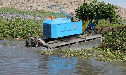 Hatay'daki Gölbaşı Gölü'nde Su Sümbülleri Temizleniyor