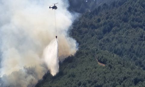 Hatay'daki Orman Yangını Kontrol Altına Alındı