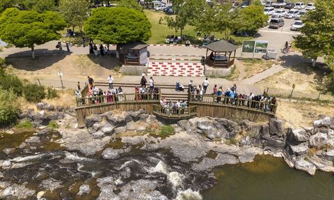 İnci Kefali Göçü, Binlerce Ziyaretçiyi Büyüledi