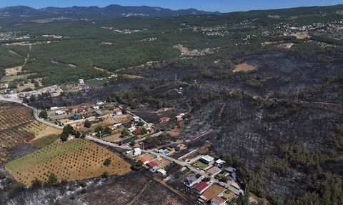 İzmir Bornova'da Orman Yangını: Evi Yananların Yaşadığı Drama Dair Görüntüler