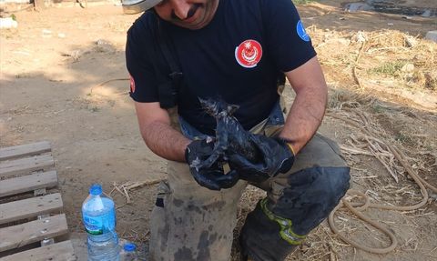 İzmir'de Müştemilat Yangını: 1 Yaşındaki Bebek Yaralandı