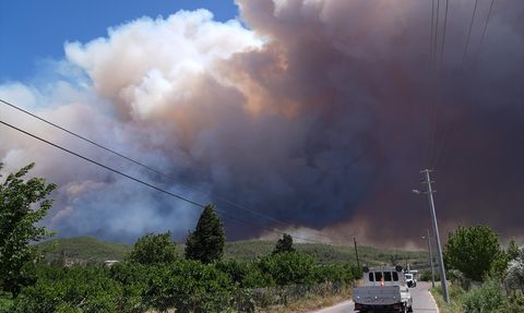 İzmir'de Orman Yangını: Menderes ve Seferihisar Sınırlarında Müdahale Devam Ediyor