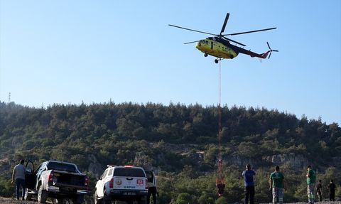 İzmir'de Orman Yangınına Hava ve Kara Müdahalesi Devam Ediyor