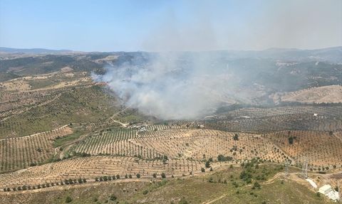 İzmir'de Otluk Alanda Yangın Çıkıyor