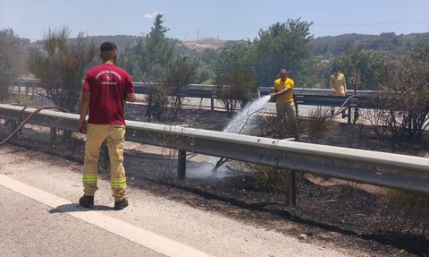 İzmir'deki Zeytinlik Yangını Kontrol Altında
