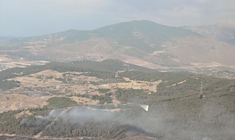 İzmir'in Aliağa İlçesinde Orman Yangını Kontrol Altına Alındı