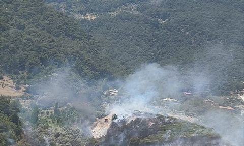 İzmir Kemalpaşa'da Orman Yangınına Hızlı Müdahale