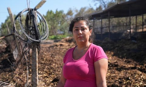 İzmir Orman Yangınında Ev ve Ağıllar Kullanılamaz Hale Geldi