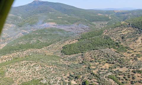 İzmir Torbalı'da Orman Yangınına Müdahale