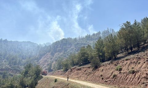 Karabük'te Orman Yangını Kontrol Altına Alındı