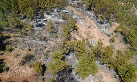 Karabük'te Orman Yangınına Hızlı Müdahale