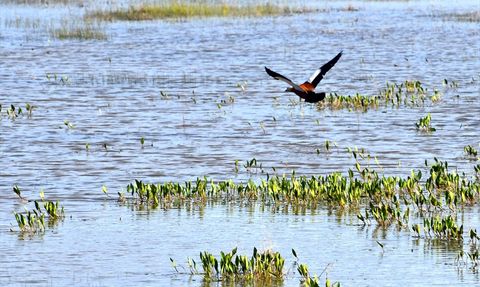 Kars'ın Sarıkamış İlçesi Renk Cümbüşüne Dönüştü