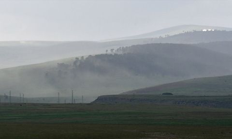Kars'ta Polen Fırtınası Etkili Oldu