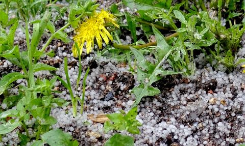 Kars'ta Sağanak ve Dolu Etkisi