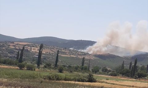 Kepsut'taki Orman Yangını Kontrol Altına Alındı