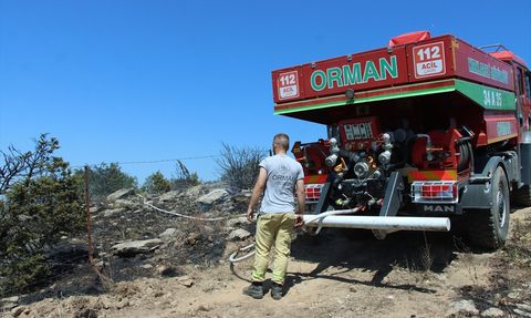 Kırklareli'nde Ceviz Bahçesinde Yangın Kontrol Altına Alındı